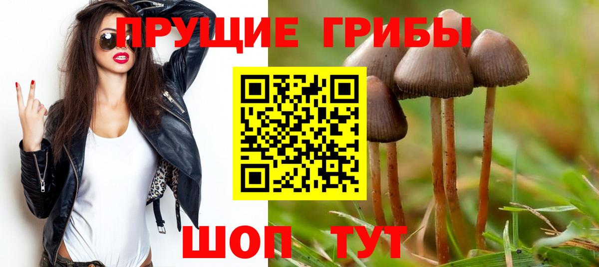 Псилоцибиновые грибы ЛСД  сколько стоит  Светлоград  Галлюциногенные грибы GOLDEN TEACHER  Вход с VPN 